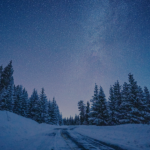 snowy road leading into the woods